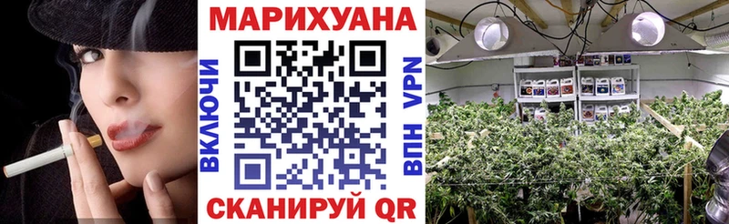 KRAKEN ONION  закладка  Сальск  Марихуана SATIVA & INDICA 